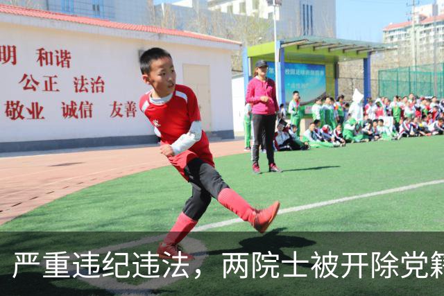 严重违纪违法，两院士被开除党籍